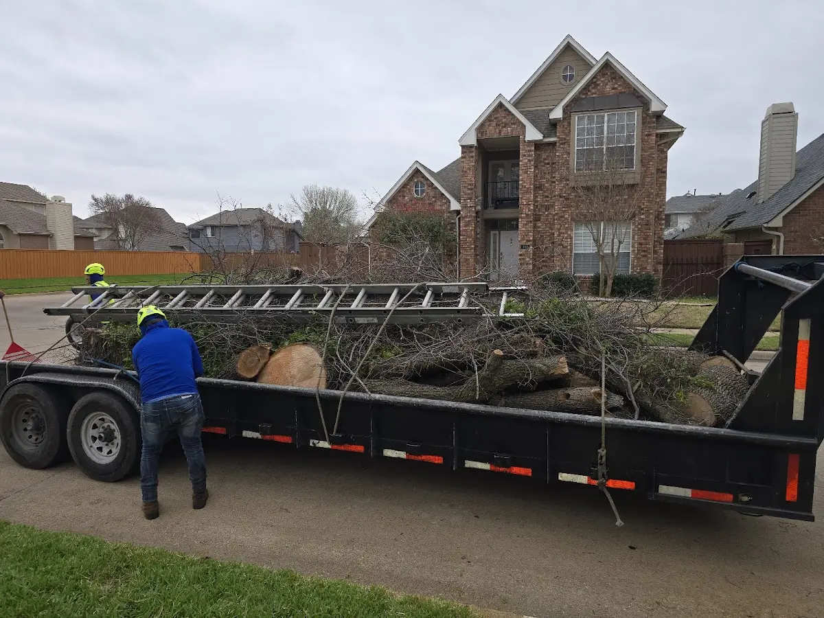 Expert Tree Fertilization with proper safety equipment in Harrison Township